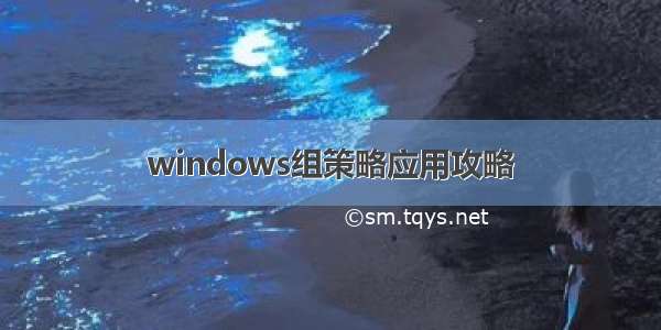 windows组策略应用攻略