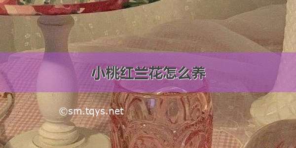 小桃红兰花怎么养