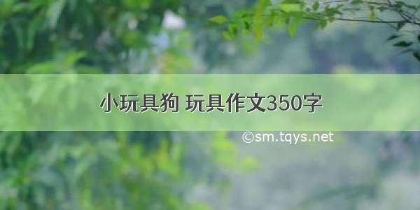 小玩具狗 玩具作文350字