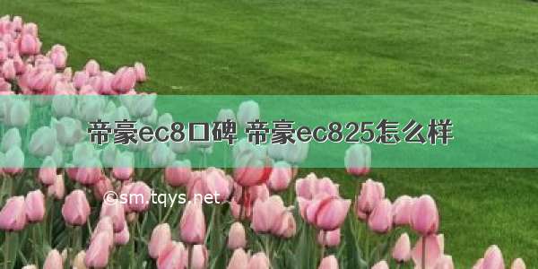 帝豪ec8口碑 帝豪ec825怎么样