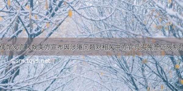 中国驻美国使馆发言人就美方宣布因涉港问题对相关中方官员实施签证限制措施发表谈话