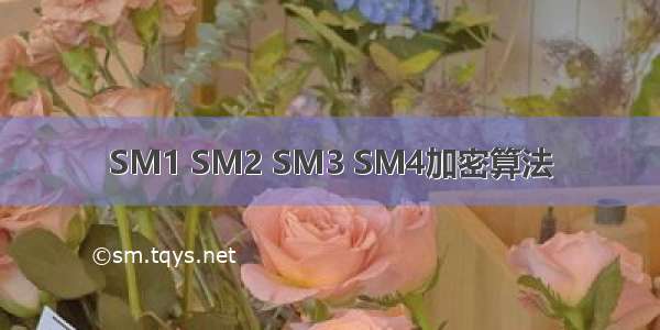 SM1 SM2 SM3 SM4加密算法