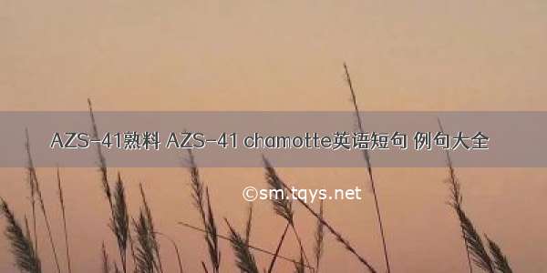 AZS-41熟料 AZS-41 chamotte英语短句 例句大全