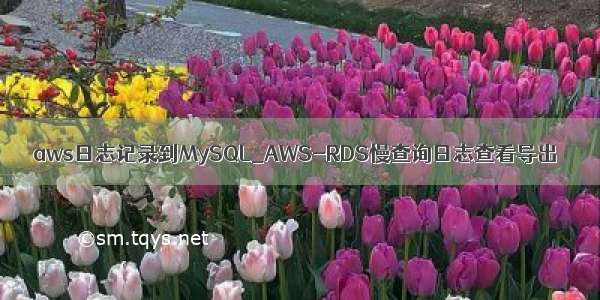 aws日志记录到MySQL_AWS-RDS慢查询日志查看导出