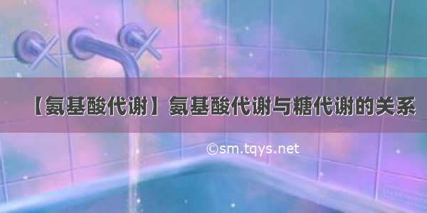 【氨基酸代谢】氨基酸代谢与糖代谢的关系