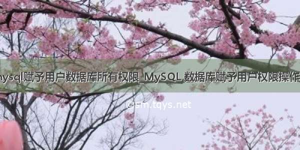 mysql赋予用户数据库所有权限_MySQL 数据库赋予用户权限操作表