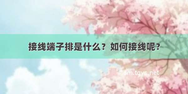 接线端子排是什么？如何接线呢？