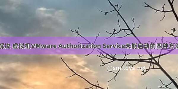 解决 虚拟机VMware Authorization Service未能启动的四种方法