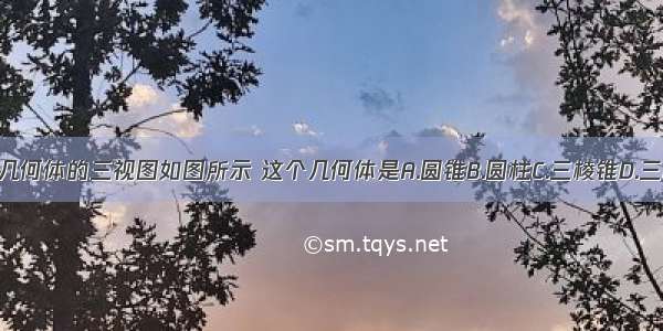 一个几何体的三视图如图所示 这个几何体是A.圆锥B.圆柱C.三棱锥D.三棱柱