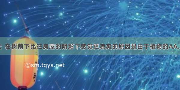 炎热的夏天  在树荫下比在房屋的阴影下感觉更凉爽的原因是由于植物的AA. 蒸腾作用B