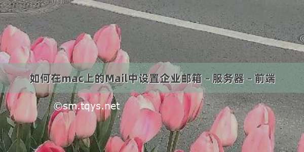 如何在mac上的Mail中设置企业邮箱 – 服务器 – 前端