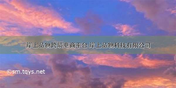 岸上品物跨境电商平台 岸上品物科技有限公司