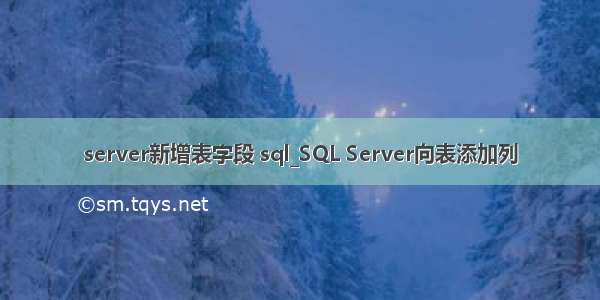 server新增表字段 sql_SQL Server向表添加列