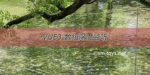 VUE3 数组深度监听