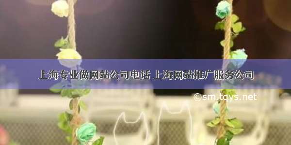 上海专业做网站公司电话 上海网站推广服务公司