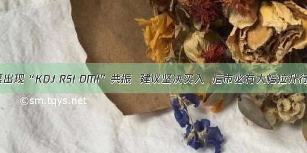 股票出现“KDJ RSI DMI”共振  建议坚决买入  后市必有大幅拉升行情!