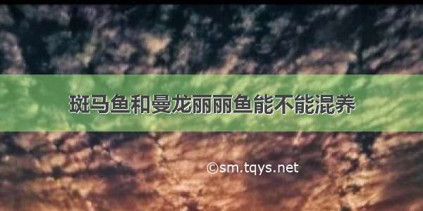 斑马鱼和曼龙丽丽鱼能不能混养