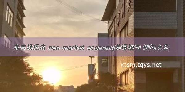 非市场经济 non-market economy英语短句 例句大全
