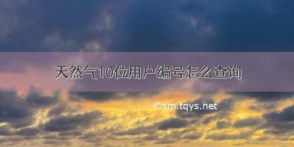 天然气10位用户编号怎么查询