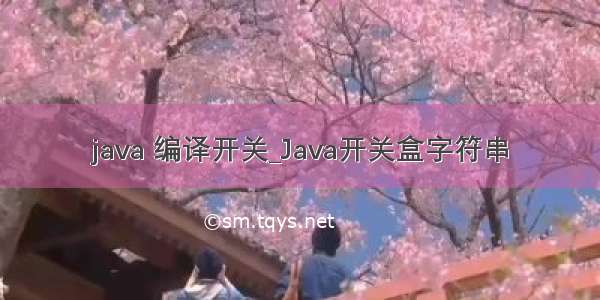 java 编译开关_Java开关盒字符串