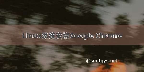 Linux系统安装Google Chrome