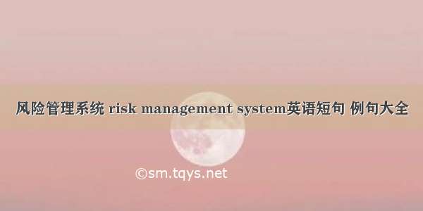 风险管理系统 risk management system英语短句 例句大全