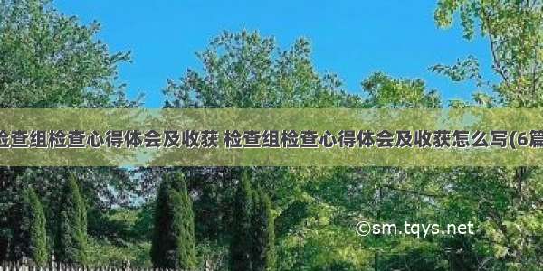 检查组检查心得体会及收获 检查组检查心得体会及收获怎么写(6篇)