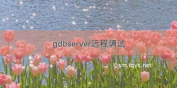 gdbserver远程调试