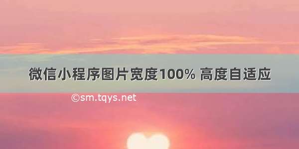 微信小程序图片宽度100% 高度自适应