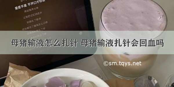 母猪输液怎么扎针 母猪输液扎针会回血吗