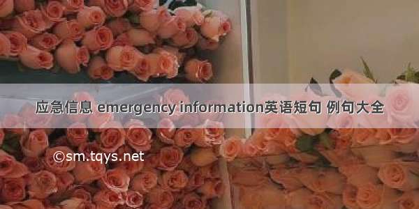 应急信息 emergency information英语短句 例句大全