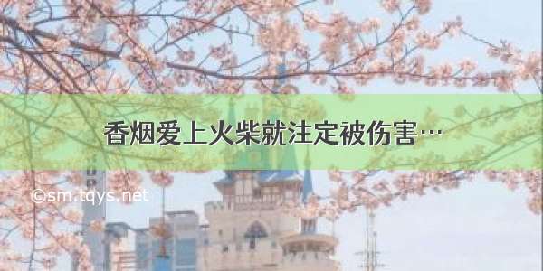 香烟爱上火柴就注定被伤害…