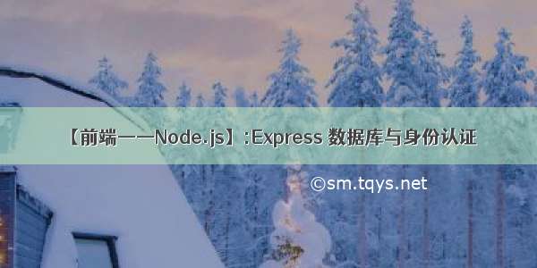 【前端——Node.js】:Express 数据库与身份认证