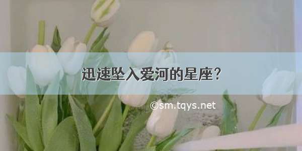 迅速坠入爱河的星座？