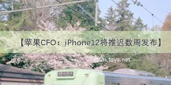 【苹果CFO：iPhone12将推迟数周发布】
