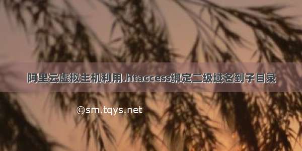 阿里云虚拟主机利用.htaccess绑定二级域名到子目录