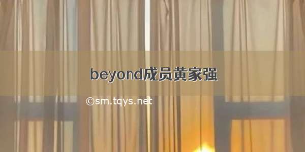 beyond成员黄家强