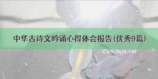 中华古诗文吟诵心得体会报告(优秀9篇)