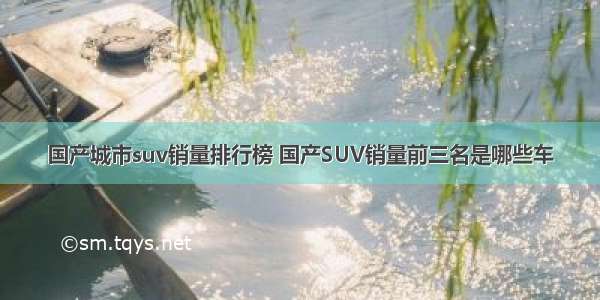 国产城市suv销量排行榜 国产SUV销量前三名是哪些车