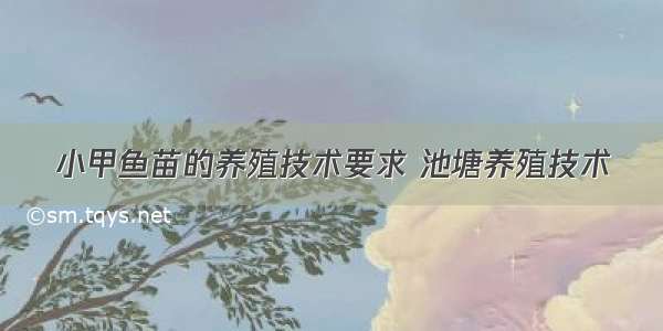 小甲鱼苗的养殖技术要求 池塘养殖技术