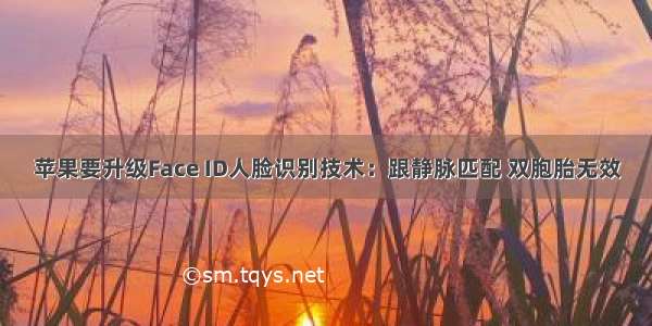 苹果要升级Face ID人脸识别技术：跟静脉匹配 双胞胎无效