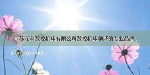江苏元利数控机床有限公司数控机床领域的专业品牌。
