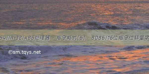 Intel 64/x86_64/IA-32/x86处理器 - 指令格式(6) - 8086/16位指令位移量字节/立即数字节