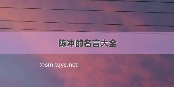 陈冲的名言大全