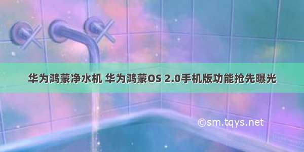 华为鸿蒙净水机 华为鸿蒙OS 2.0手机版功能抢先曝光