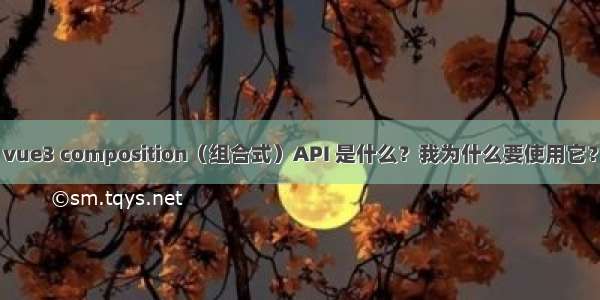 vue3 composition（组合式）API 是什么？我为什么要使用它？