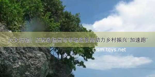 六大行动！江苏省扬州市市场监管局助力乡村振兴“加速跑”