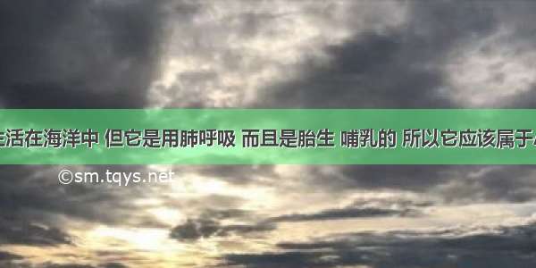 单选题鲸生活在海洋中 但它是用肺呼吸 而且是胎生 哺乳的 所以它应该属于A.鱼类B.两