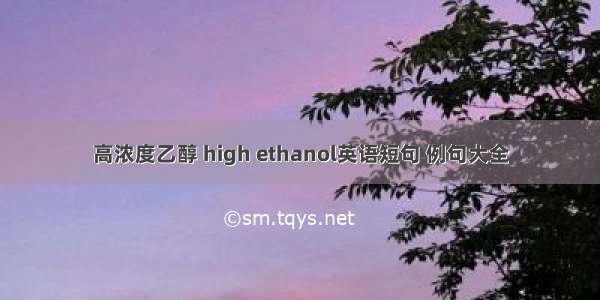 高浓度乙醇 high ethanol英语短句 例句大全