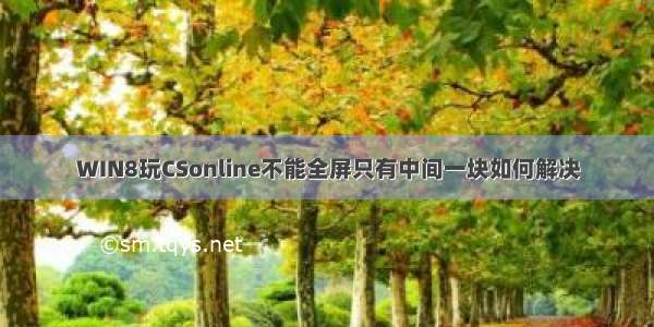 WIN8玩CSonline不能全屏只有中间一块如何解决